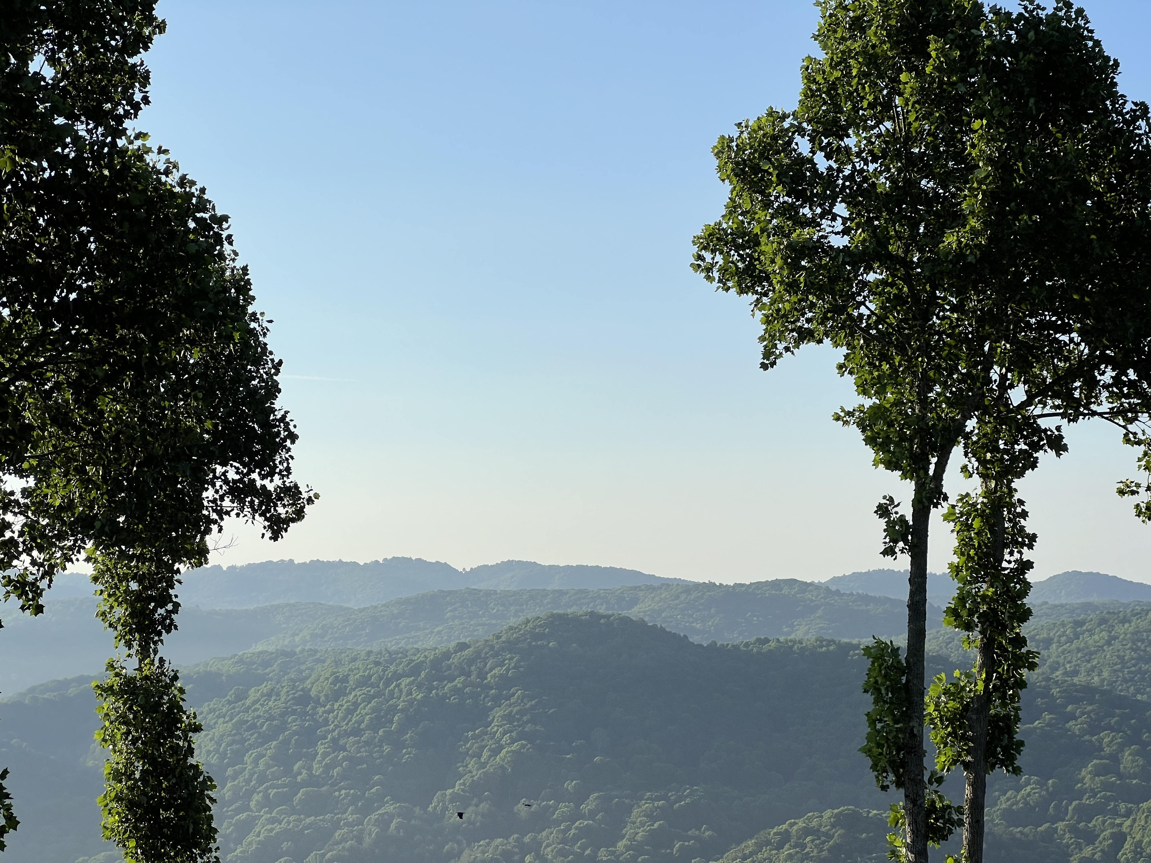 ./2024/08 - Banner Elk/IMG_1802.jpg